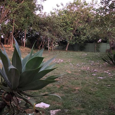Gerais Loft Διαμέρισμα São Roque de Minas Εξωτερικό φωτογραφία